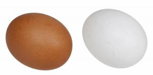 Раскраска яйцо для детей #33 #182089