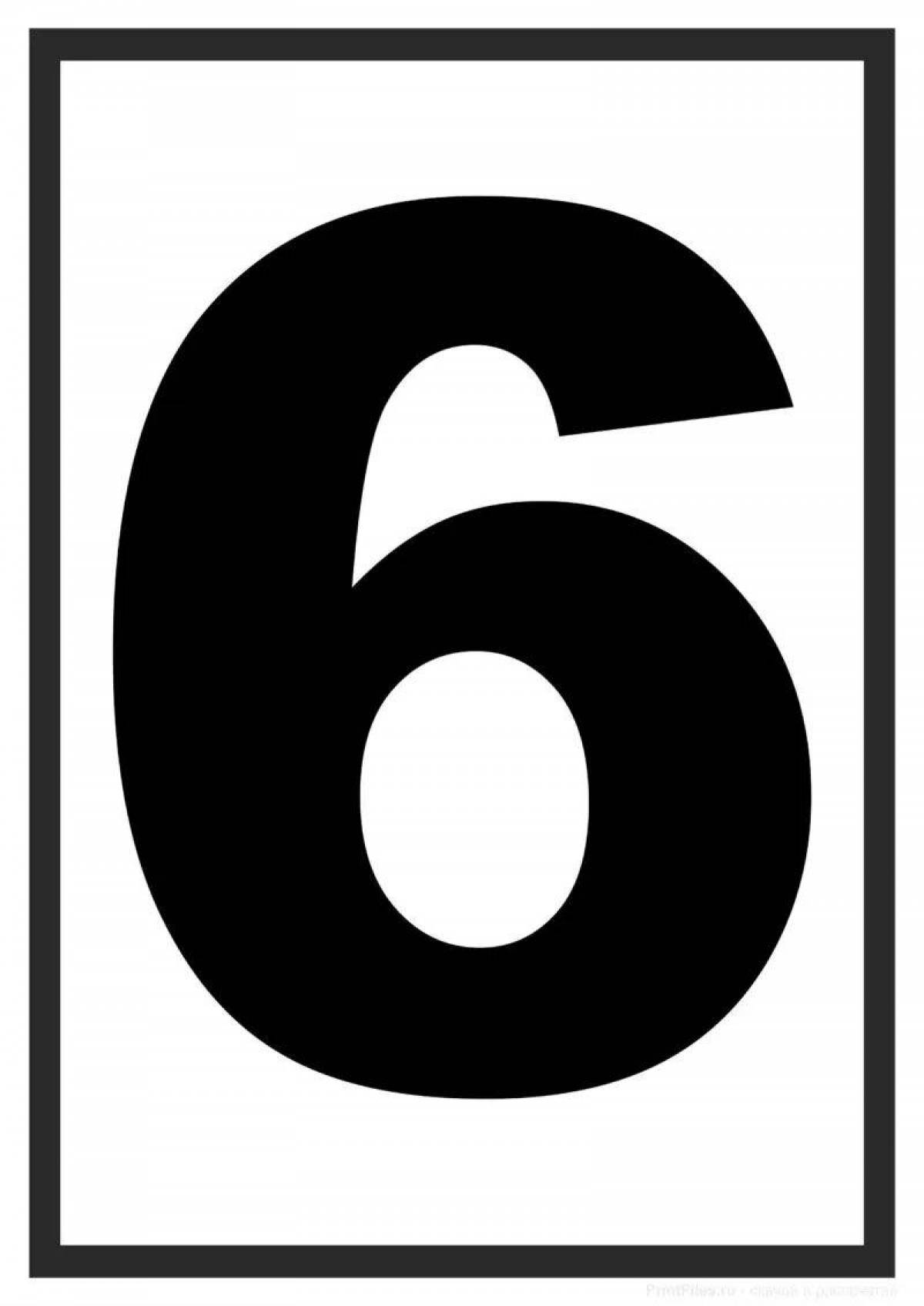 5 6 #4