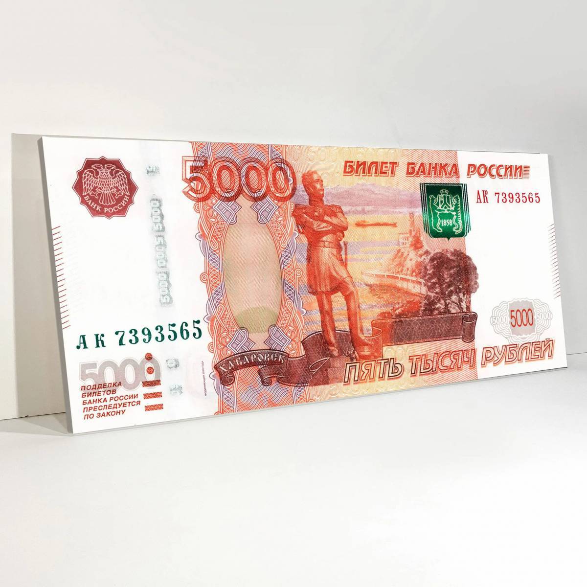 5000 рублей #38