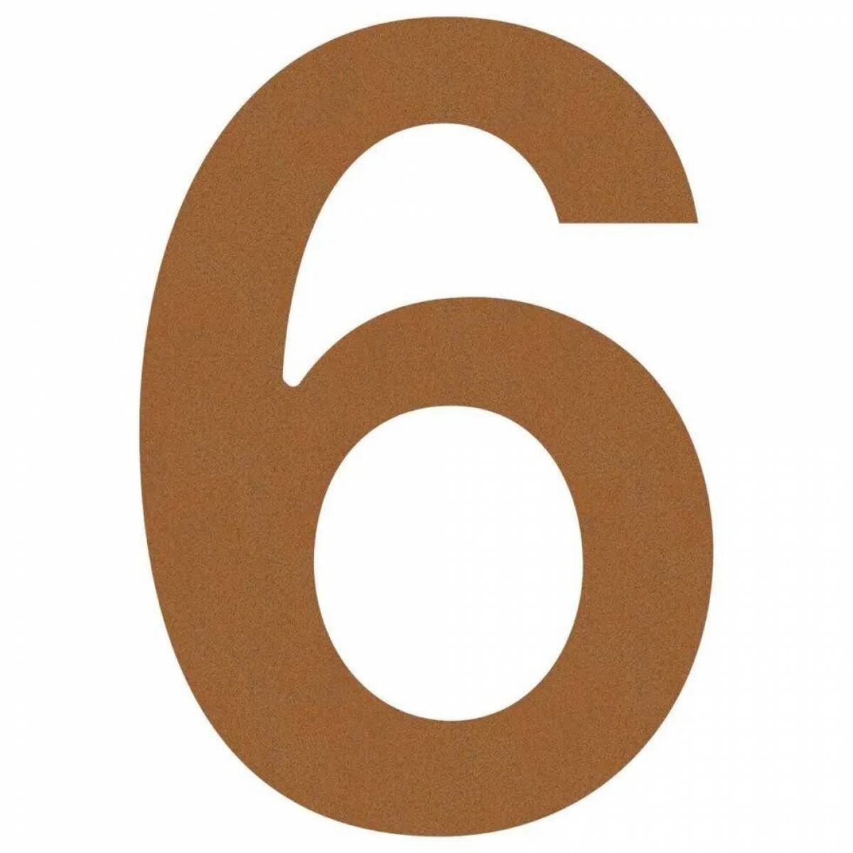 6 #6