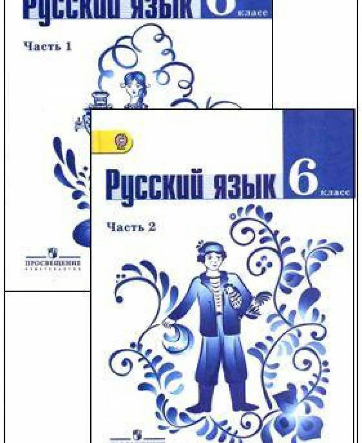 6 класс русский язык #6