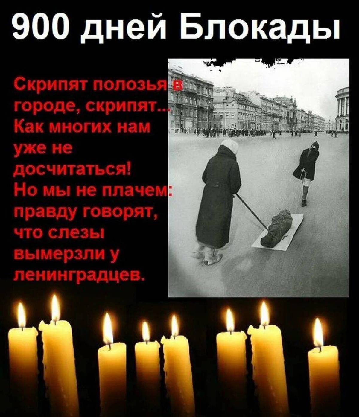 900 дней блокады ленинграда #17