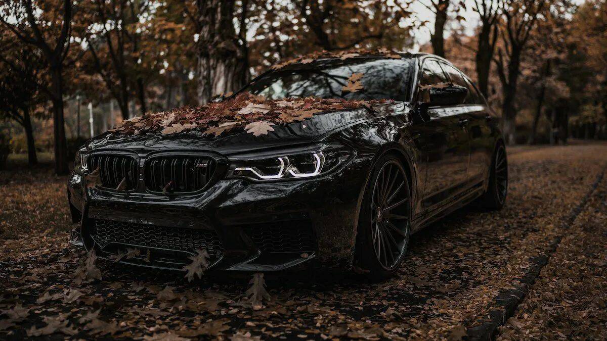 Bmw m5 #3