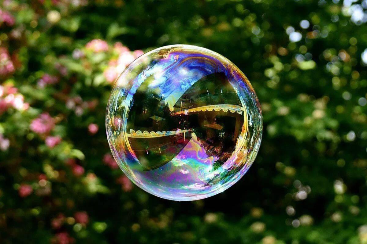 Bubble #12