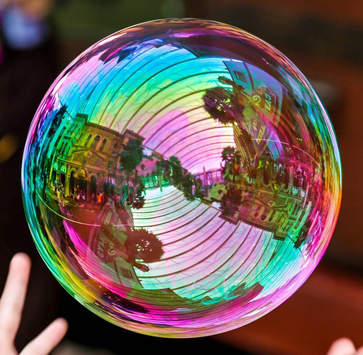 Bubble #17