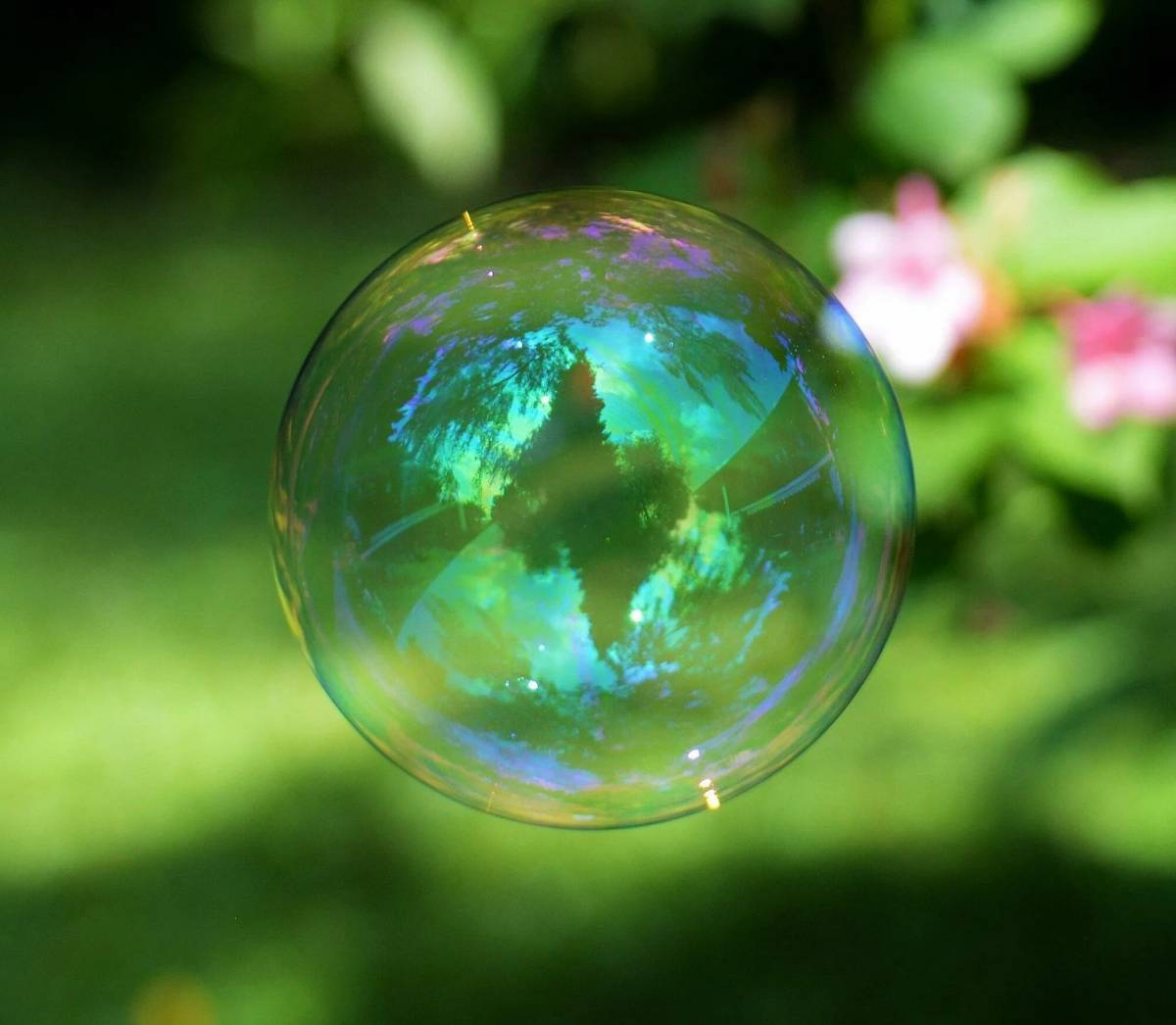 Bubble #24