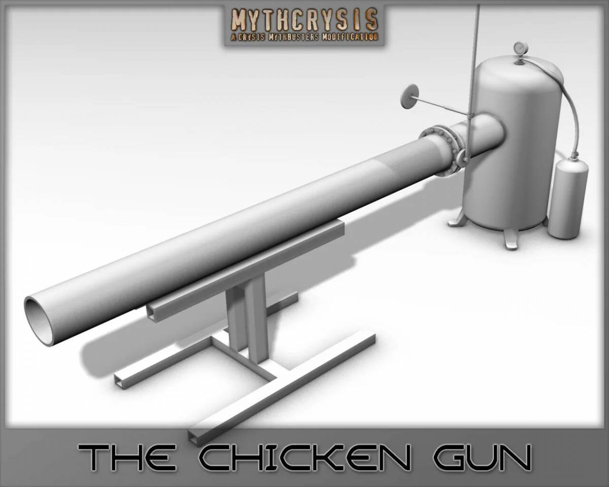 Chicken gun #23