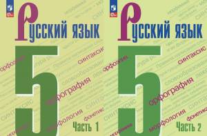 Раскраска 6 класс русский язык #7 #186233
