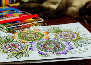 Раскраска coloring book #13 #187833