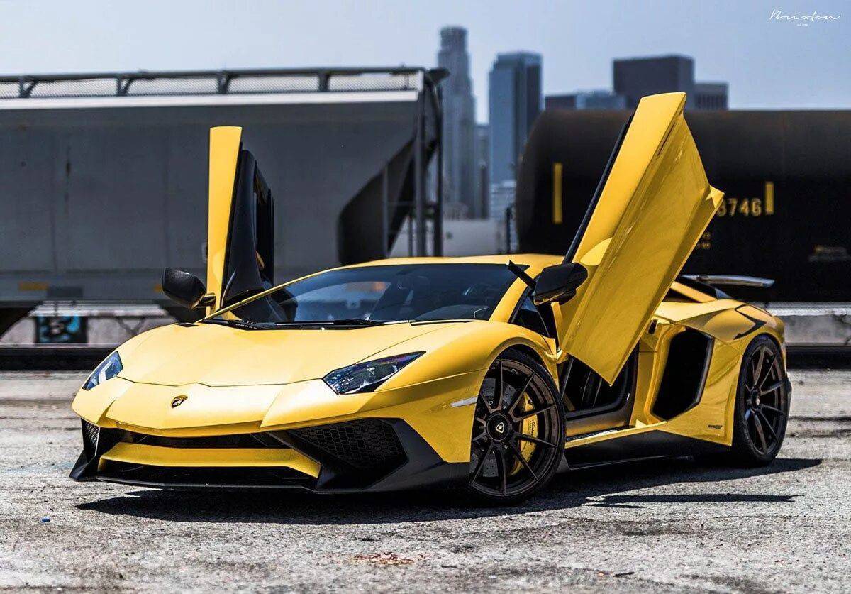 Lamborghini #14