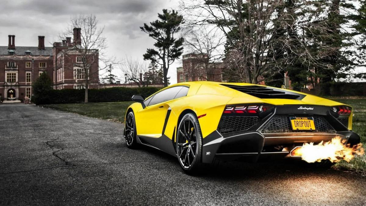 Lamborghini #30