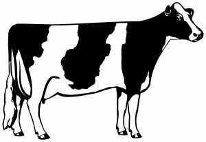 Раскраска cow #32 #188124
