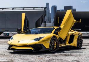 Раскраска lamborghini aventador #28 #190349