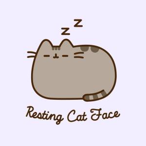 Раскраска pusheen cat #25 #191939