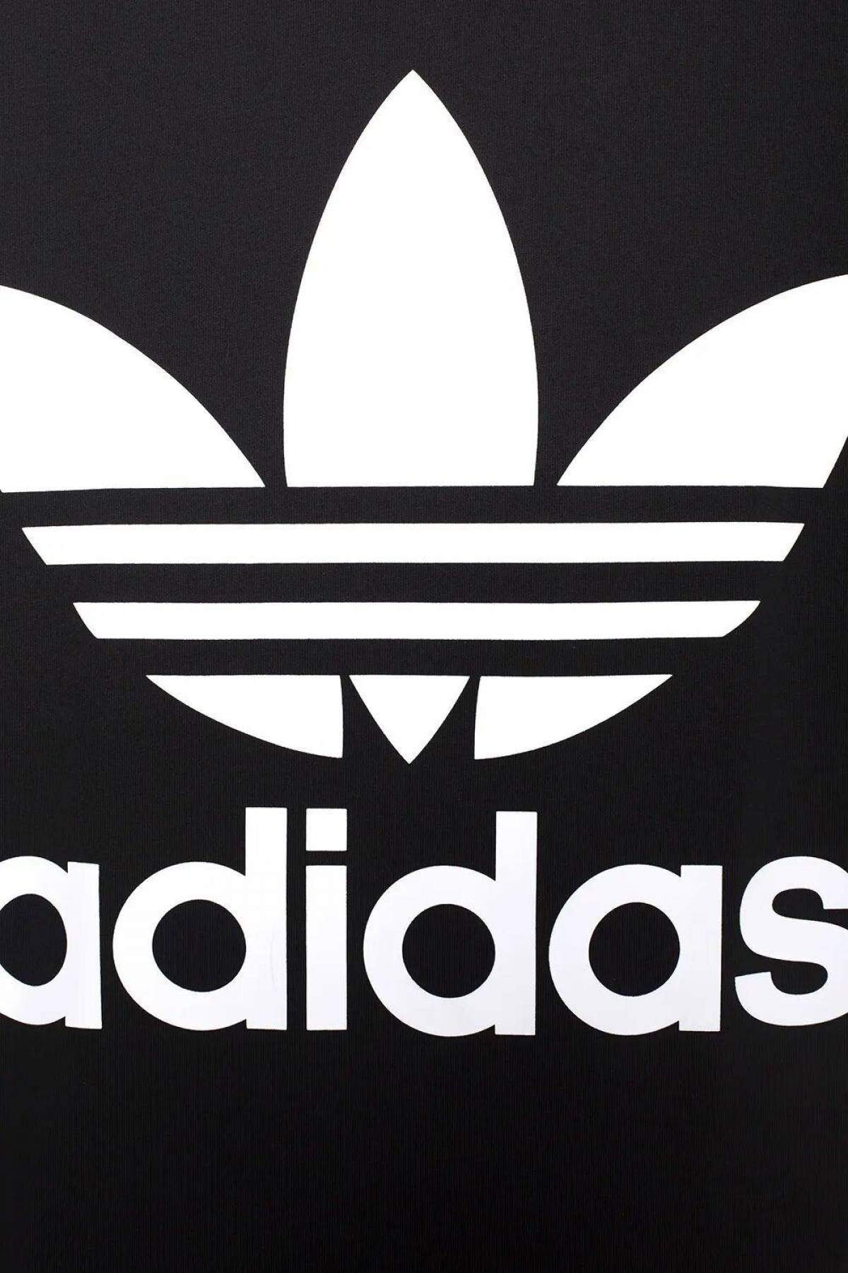 Лицо адидаса. Adidas logo. Надпись адидас. Adidas Originals логотип. Adidas на белом фоне.