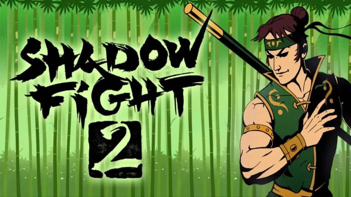 Shadow fight #11