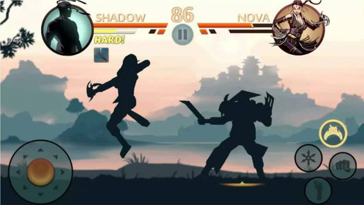 Shadow fight #20