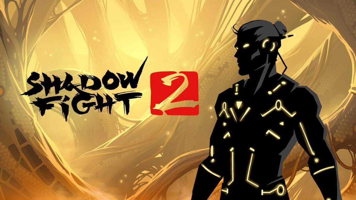 Shadow fight #34