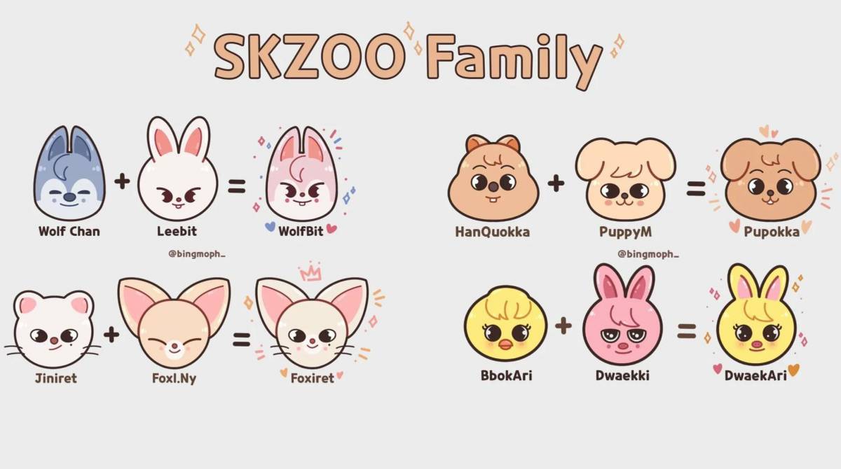 Skzoo stray kids #2