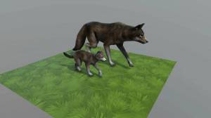 Раскраска wildcraft #3 #193250