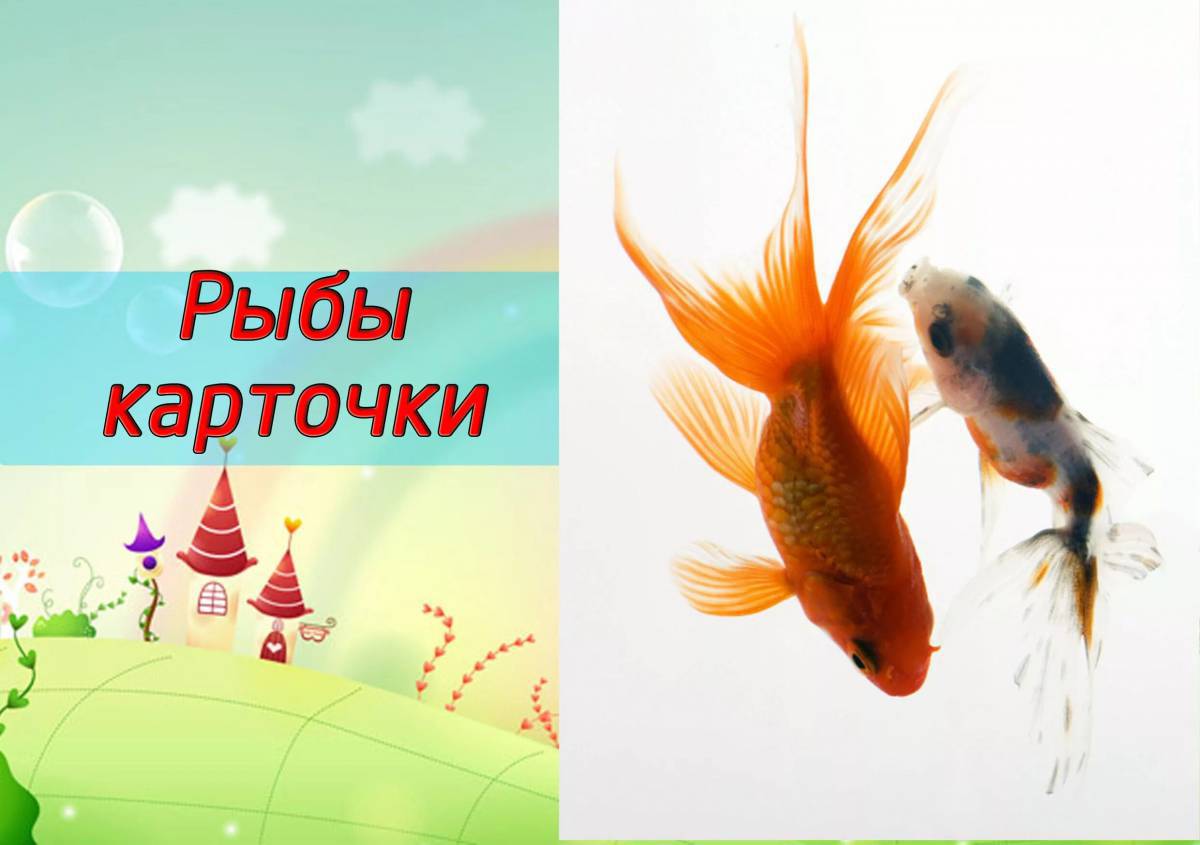 Аквариумные рыбки с названиями для детей #5