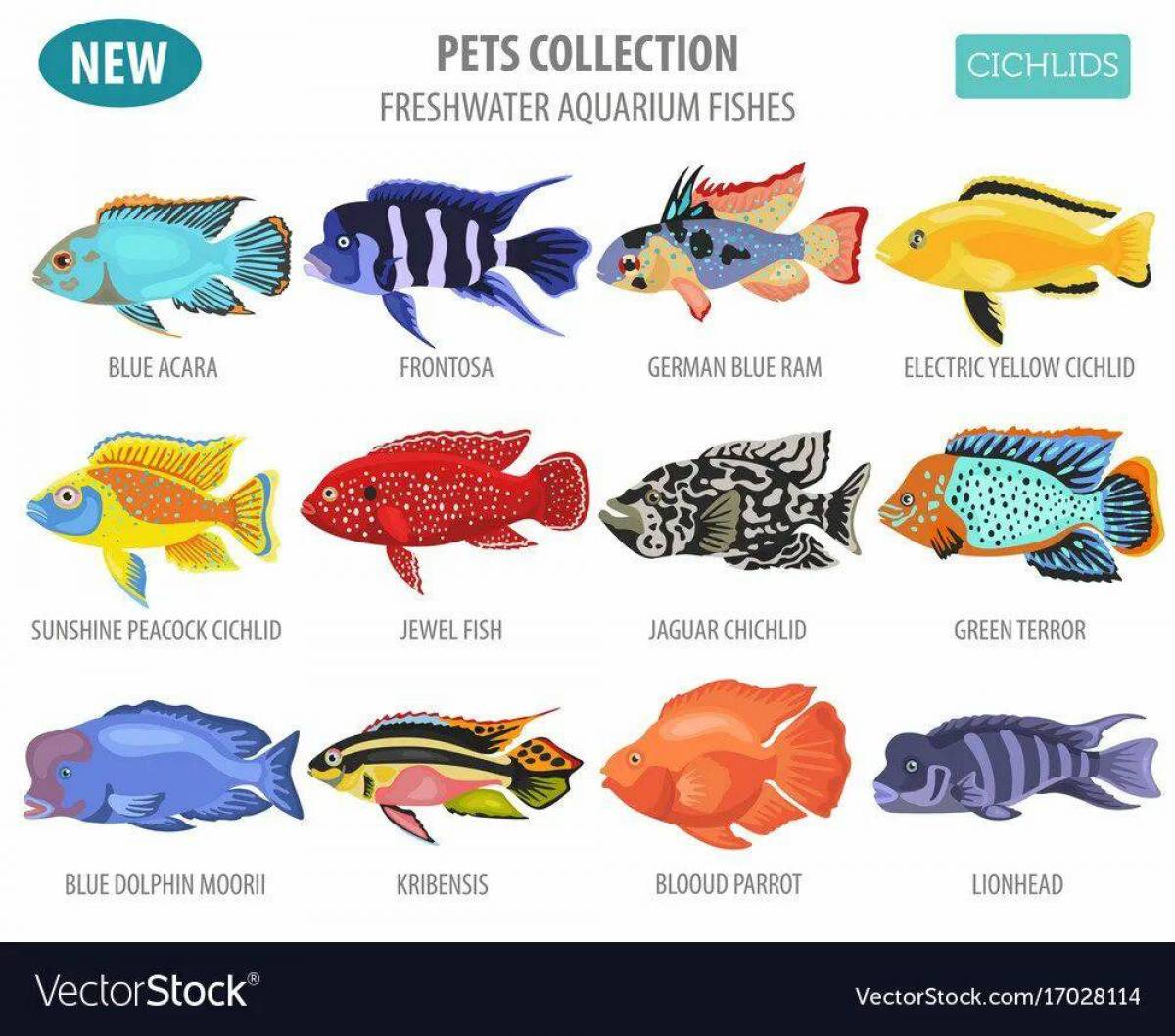 Аквариумные рыбки с названиями для детей #12