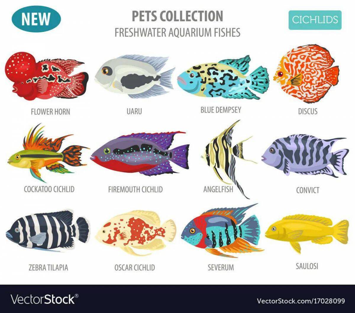 Аквариумные рыбки с названиями для детей #16