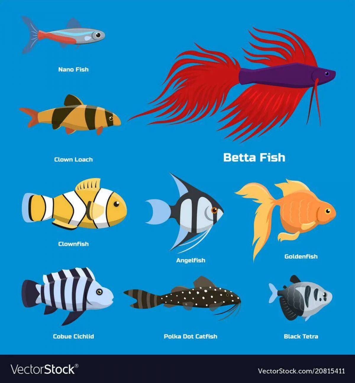Аквариумные рыбки с названиями для детей #22