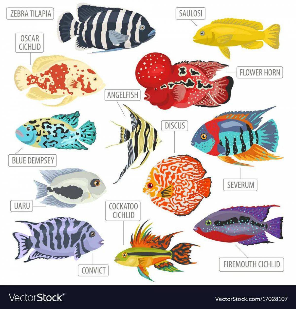 Аквариумные рыбки с названиями для детей #28