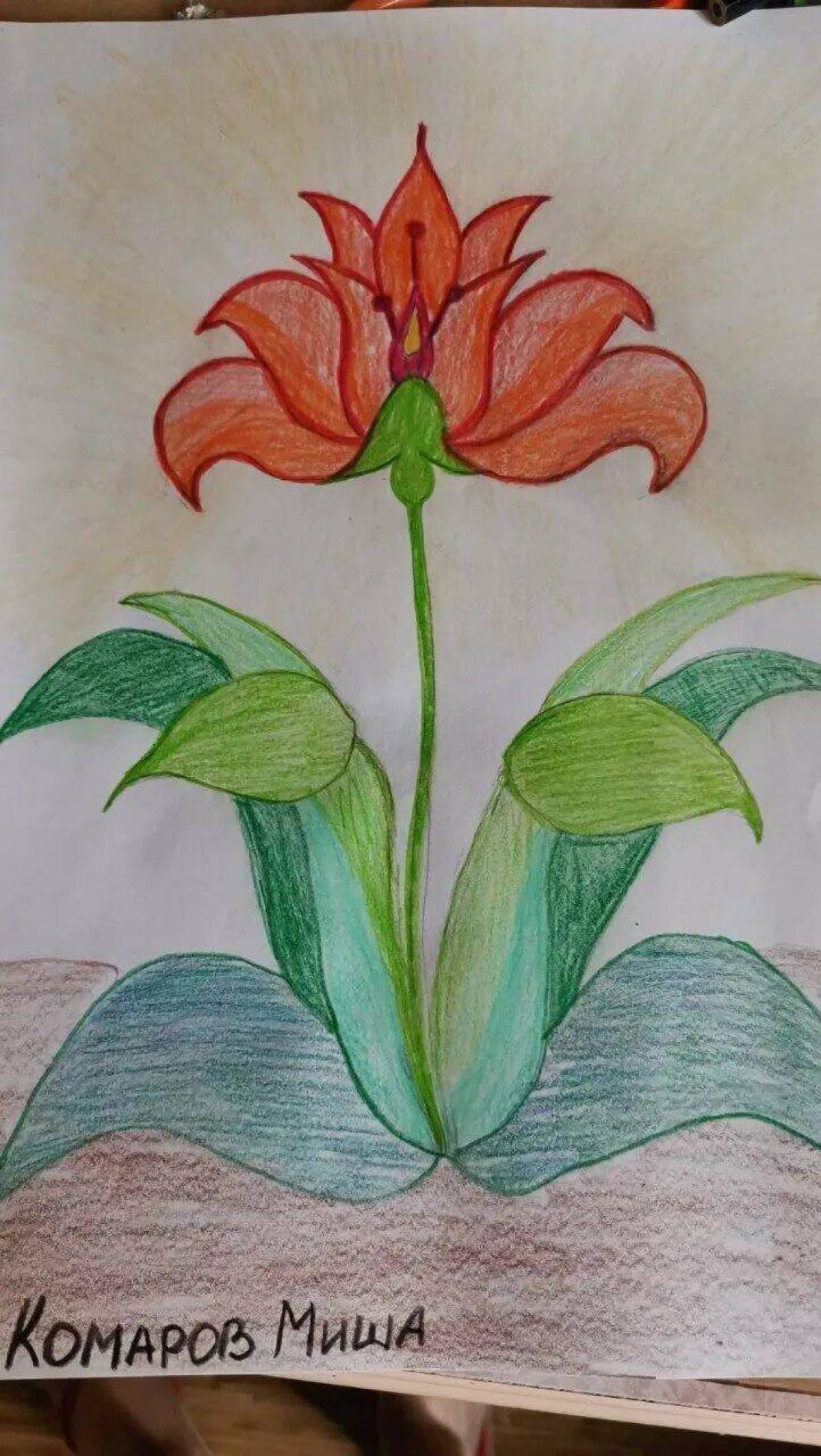 Аленький цветочек рисунок #1