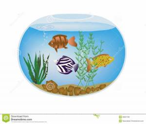 Раскраска аквариум для детей 3 4 лет с рыбками #6 #196518