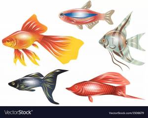 Раскраска аквариумные рыбки для детей #3 #196605