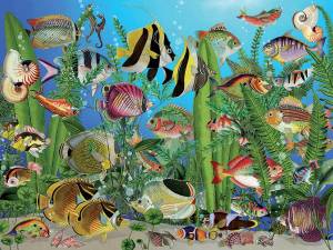 Раскраска аквариумные рыбки для детей #10 #196612