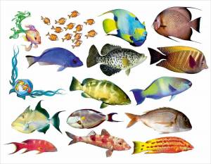 Раскраска аквариумные рыбки для детей #14 #196616