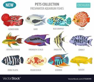 Раскраска аквариумные рыбки для детей #29 #196631