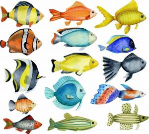 Раскраска аквариумные рыбки для детей #38 #196640