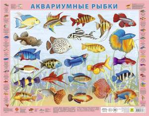 Раскраска аквариумные рыбки с названиями для детей #1 #196642
