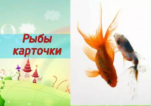 Раскраска аквариумные рыбки с названиями для детей #5 #196646