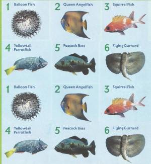 Раскраска аквариумные рыбки с названиями для детей #7 #196648