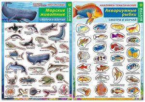 Раскраска аквариумные рыбки с названиями для детей #17 #196658