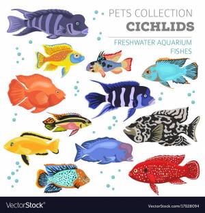 Раскраска аквариумные рыбки с названиями для детей #19 #196660