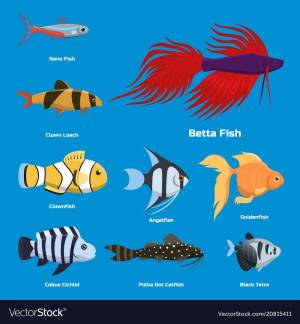 Раскраска аквариумные рыбки с названиями для детей #22 #196663