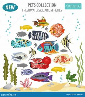 Раскраска аквариумные рыбки с названиями для детей #26 #196667