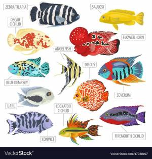 Раскраска аквариумные рыбки с названиями для детей #28 #196669