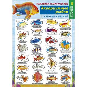 Раскраска аквариумные рыбки с названиями для детей #36 #196677