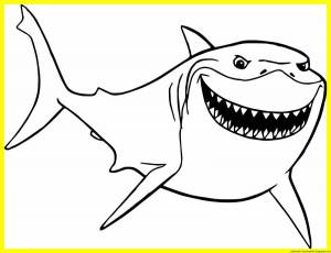 Раскраска акула для детей 4 5 лет #7 #197031