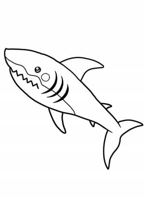 Раскраска акула для детей 4 5 лет #9 #197033