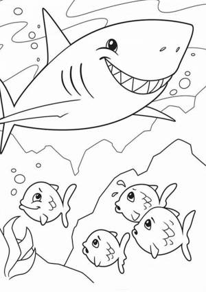 Раскраска акула для детей 4 5 лет #14 #197038