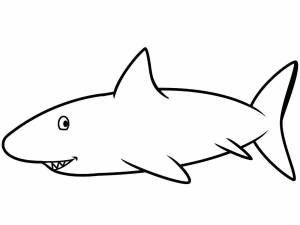Раскраска акула для детей 4 5 лет #19 #197043
