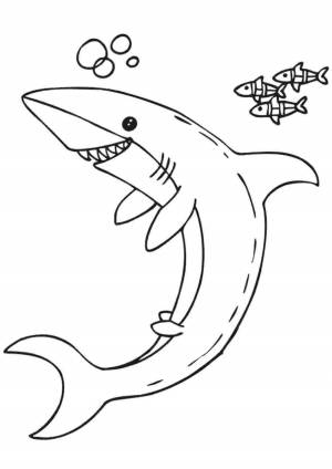 Раскраска акула для детей 4 5 лет #32 #197056